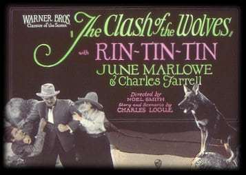rin-tin-tin-clash-of-the-wolves rin-tin-tin-clash-of-the-wolves