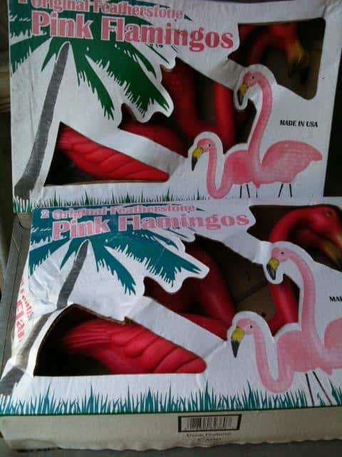 Featherstone Pink Flamingos in Box