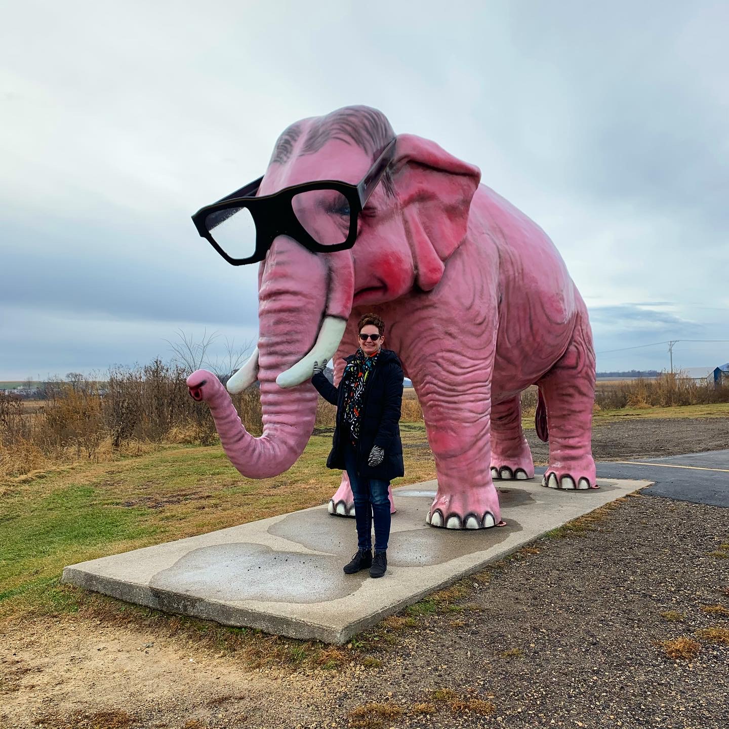 Pinkie The Pink Elephant – DeForest, WI – Retro Roadmap